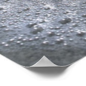 Seashell On Beach | Sanibel Island, Florida Poster (Ecke)