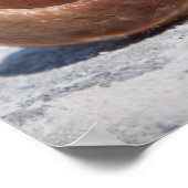 Seashell on Beach | St. Petersburg, Fl. Poster (Ecke)