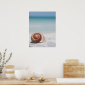 Seashell on Beach | St. Petersburg, Fl. Poster (Küche)
