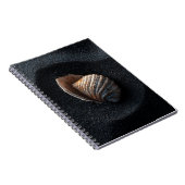 Seashell on Dark Sand Notebook Notizblock (Rechte Seite)