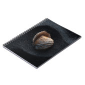 Seashell on Dark Sand Notebook Notizblock (Linke Seite)