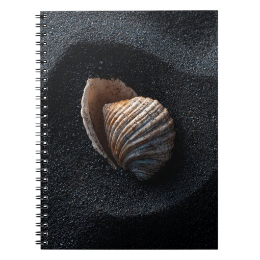 Seashell on Dark Sand Notebook Notizblock (Vorderseite)