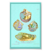 Seashell on Robins Egg Blue Fotodruck (Vorne)