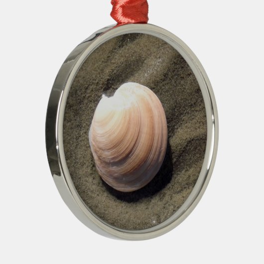 Seashell Ornament Aus Metall (Rechts)