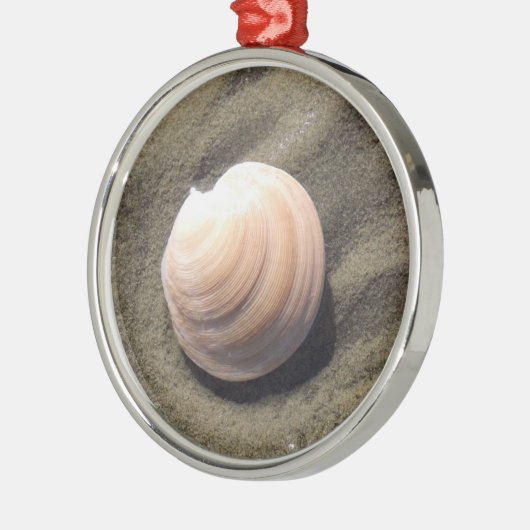 Seashell Ornament Aus Metall (Links)