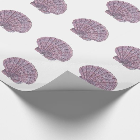 Seashell-Packpapier Geschenkpapier (Ecke)