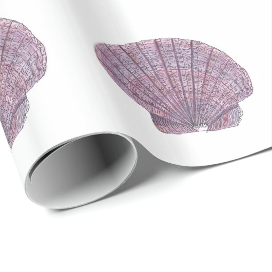 Seashell-Packpapier Geschenkpapier (Rolleneckpunkt)