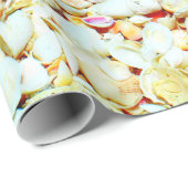 Seashell-Packpapier Geschenkpapier (Rolleneckpunkt)
