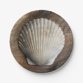 Seashell - Papierplatte Pappteller (Vorderseite)