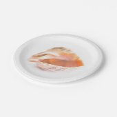 Seashell Pappteller (Schrägansicht)