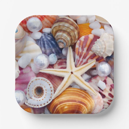 Seashell Party Paper Teller (Vorderseite)