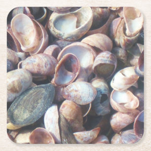 Seashell Party Untersetzer
