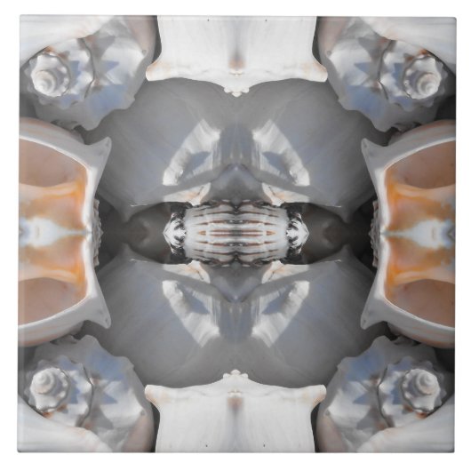 Seashell Pattern Fliese (Vorderseite)