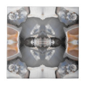 Seashell Pattern Fliese (Vorderseite)