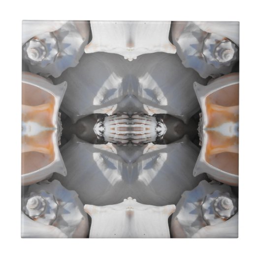 Seashell Pattern Fliese (Vorderseite)