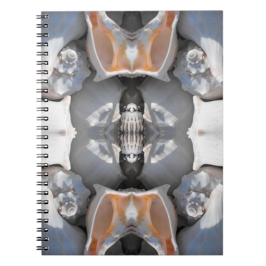 Seashell Pattern Notizblock (Vorderseite)