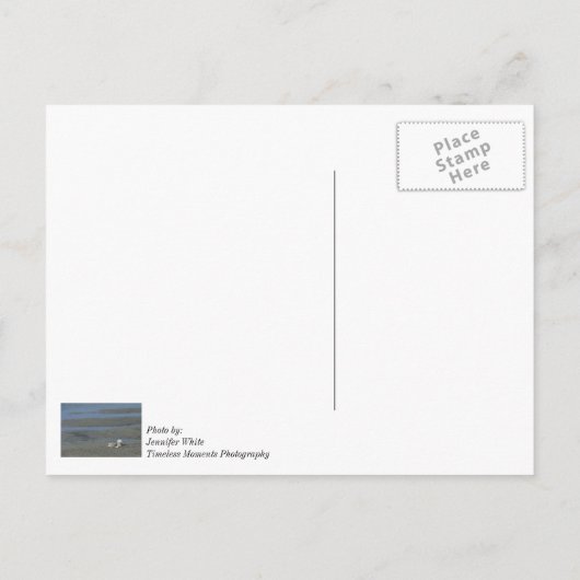 Seashell Pile Postkarte (Rückseite)