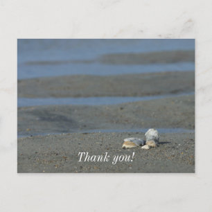 Seashell Pile Postkarte