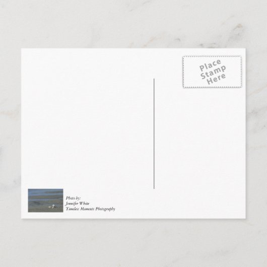 Seashell Pile Postkarte (Rückseite)