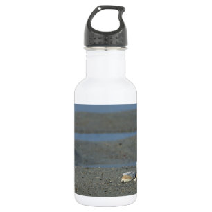 Seashell Pile Water Flasche Edelstahlflasche