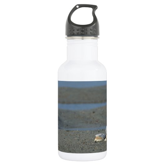 Seashell Pile Water Flasche Edelstahlflasche (Vorderseite)