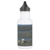 Seashell Pile Water Flasche Edelstahlflasche (Rechts)