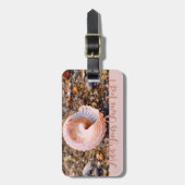 Seashell Pink Beach Foto Design mit benutzerdefini Gepäckanhänger (Vorderseite vertikal)