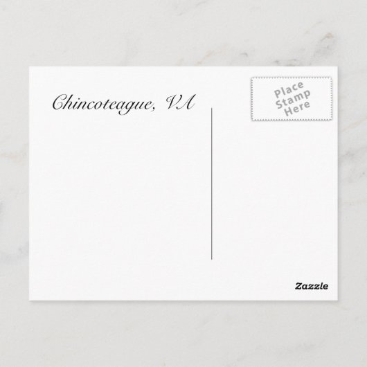 Seashell Postcard Postkarte (Rückseite)