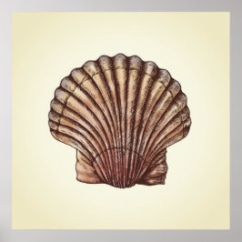 Seashell Poster