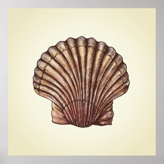 Seashell Poster (Vorne)