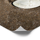 Seashell Poster (Ecke)