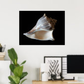 Seashell Poster (Heimbüro)