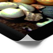 Seashell_ Poster_by Elenne Boothe Poster (Ecke)