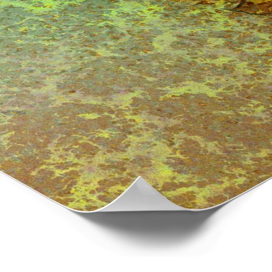 SEASHELL-Poster Poster (Ecke)