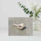 Seashell Postkarte (Stehend Vorderseite)