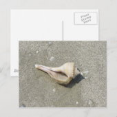 Seashell Postkarte (Vorne/Hinten)
