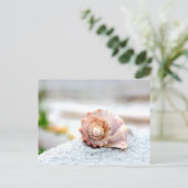 Seashell Postkarte (Stehend Vorderseite)