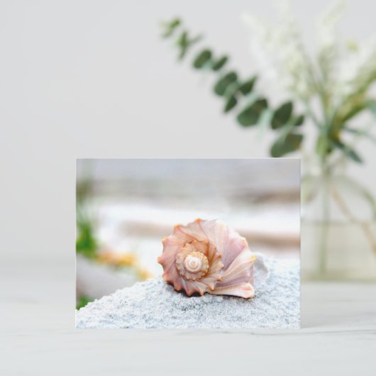 Seashell Postkarte (Stehend Vorderseite)