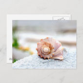 Seashell Postkarte (Vorne/Hinten)