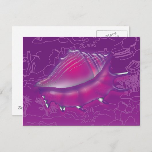 Seashell Postkarte (Vorne/Hinten)