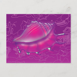 Seashell Postkarte