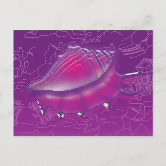 Seashell Postkarte (Vorderseite)