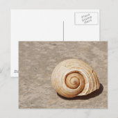 SeaShell Postkarte (Vorne/Hinten)