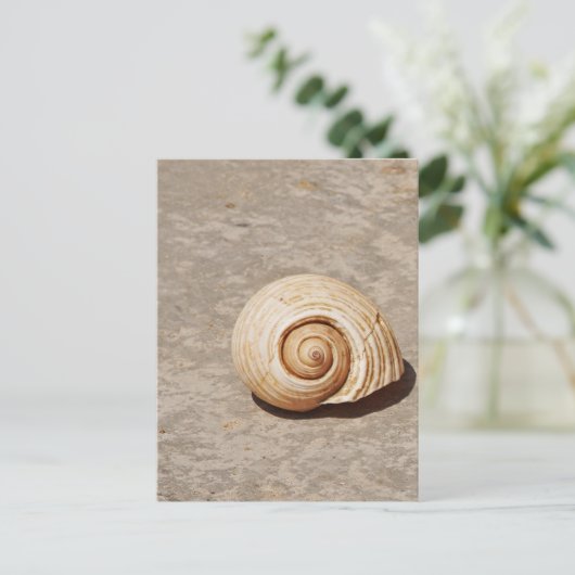 SeaShell Postkarte (Stehend Vorderseite)