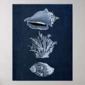 Seashell Print No. 10 Poster (Vorne)