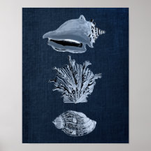 Seashell Print No. 10