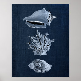Seashell Print No. 10 Poster
