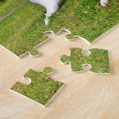 Seashell Puzzle (Seite)