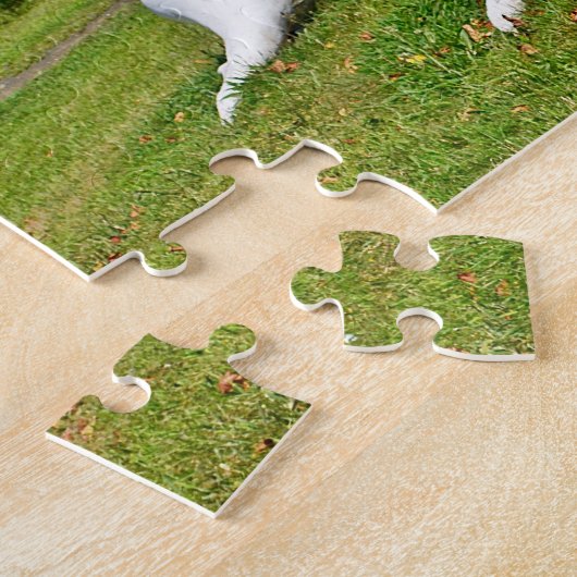 Seashell Puzzle (Seite)