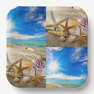 Seashell-Quadrat-Papierplatte Pappteller